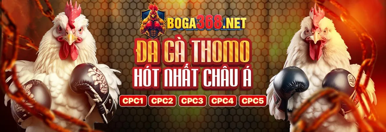 Đá gà trực tuyến kịch tính tại mg188 casino